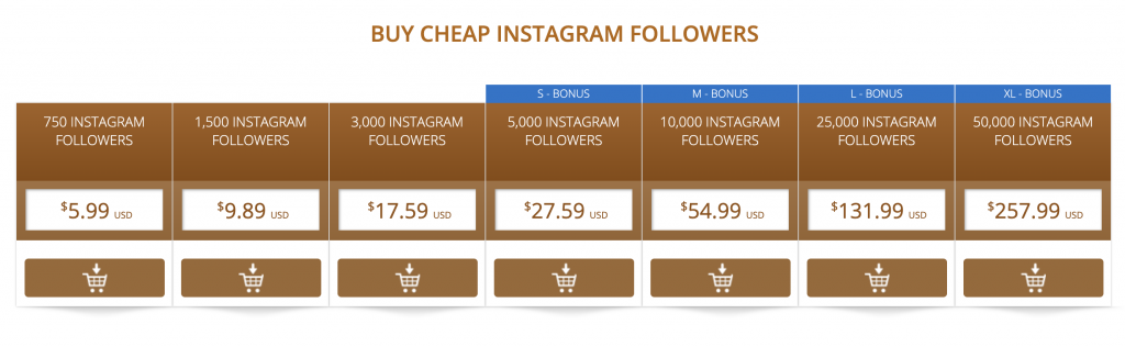 Crash Course on Buying Followers on Instagram