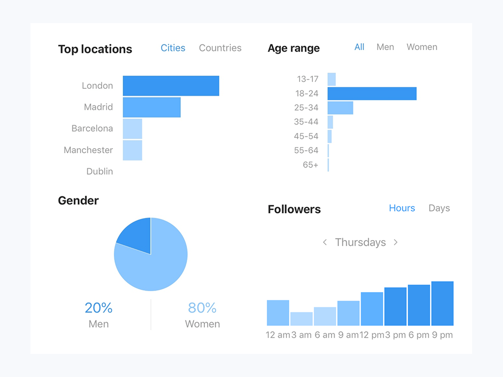 Example of the data in audience insights as provided by Instagram to the account owner